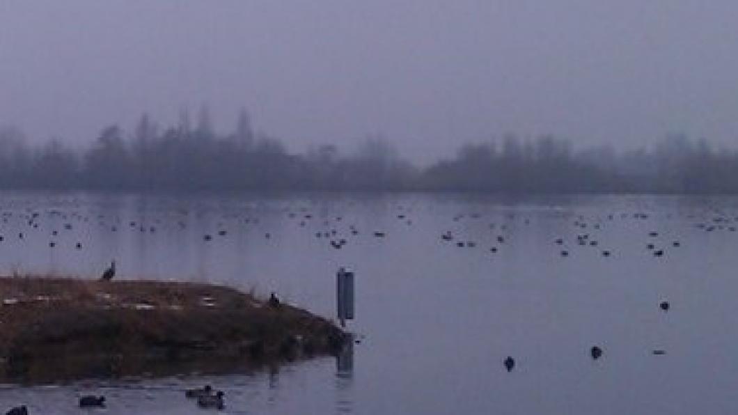 Natuurplas