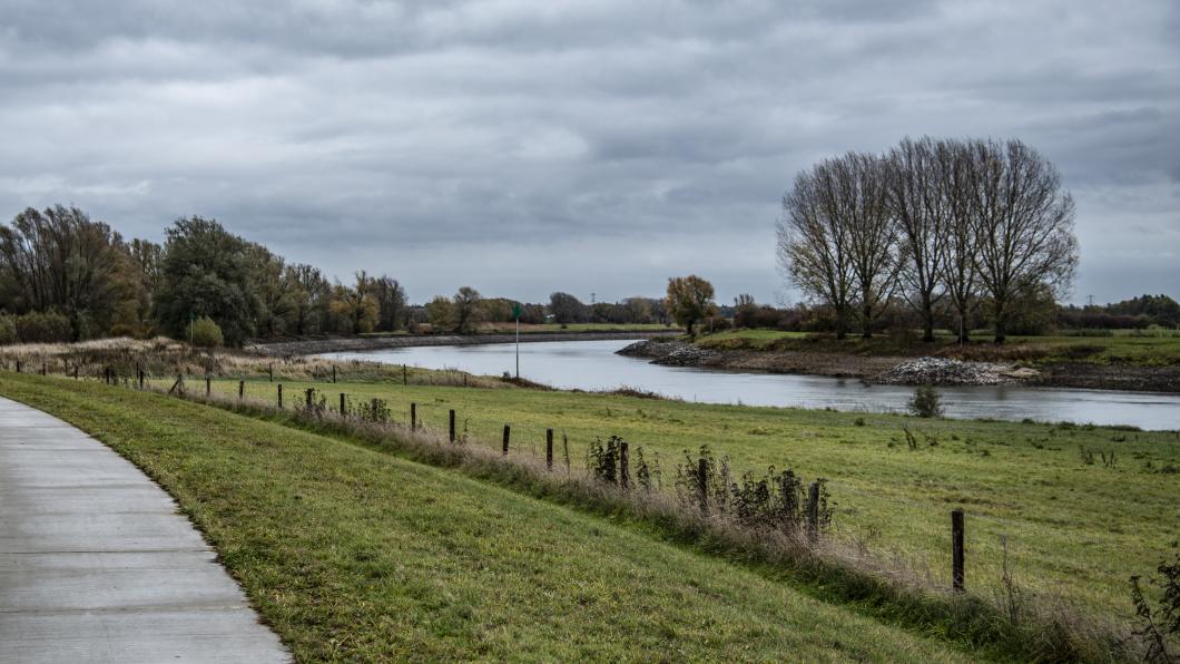 Uiterwaarden bij Brummen