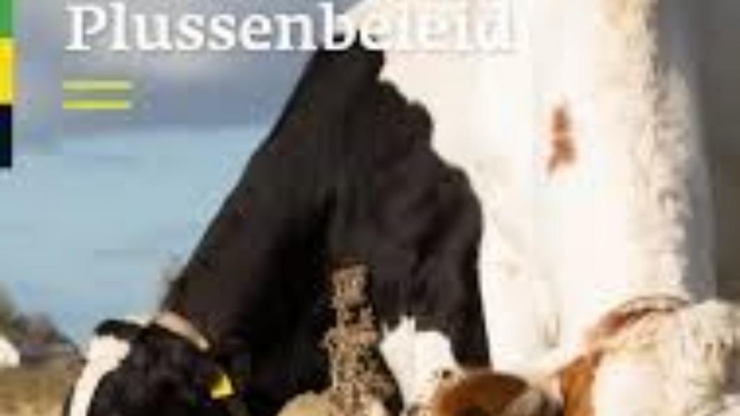 Plussenbeleid Gelderland met koeienfoto