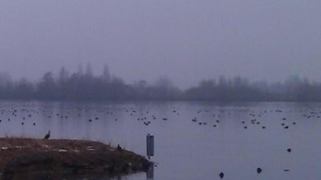 Natuurplas