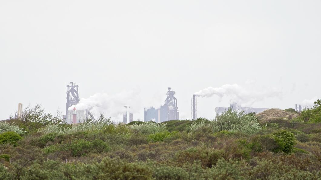 factory behind bushes