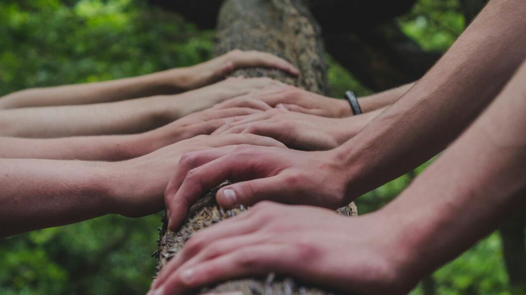 hands on tree