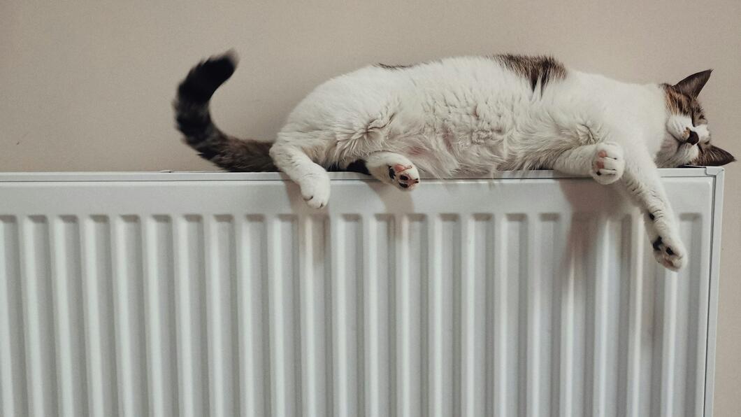 kat liggend op verwarming