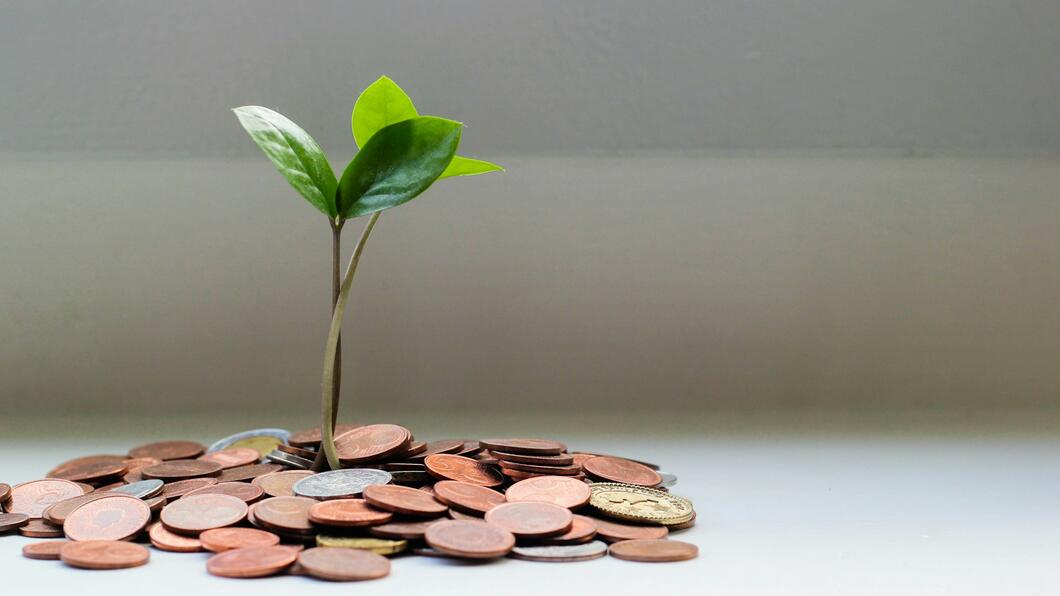 plant die uit geld groeit