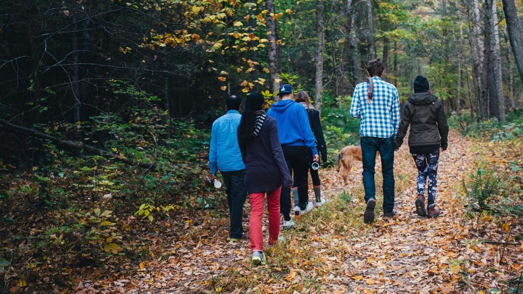 mensen wandelend in het bos