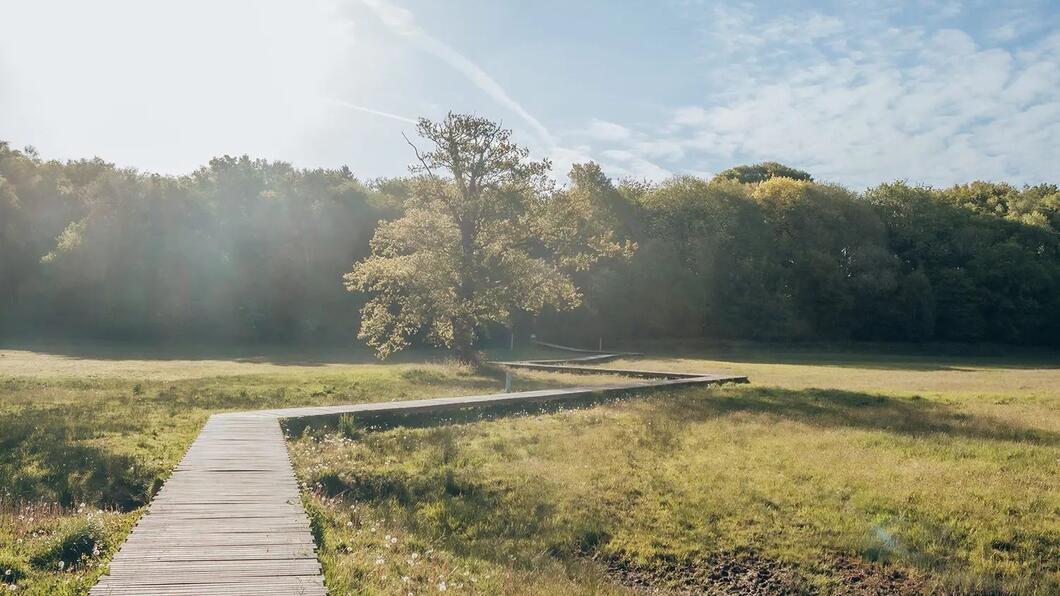 Uitzicht vlonderpad Renkums Beekdal