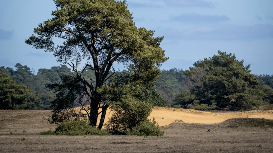 Veluwe