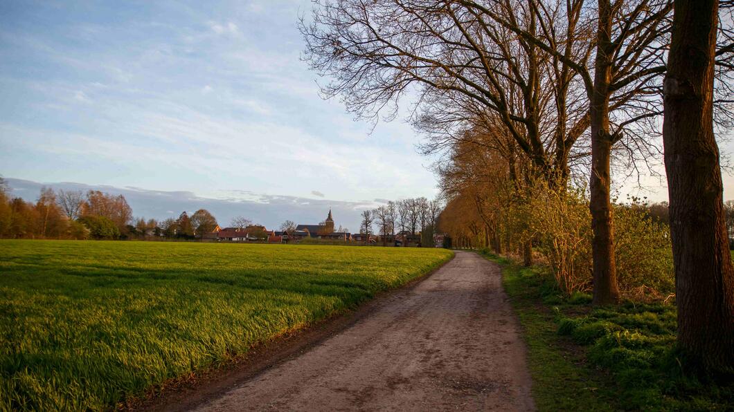 landschap