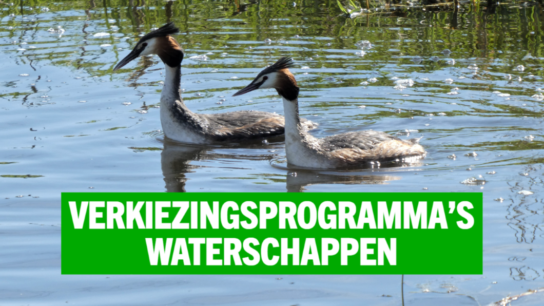 Programmacommissies waterschappen 