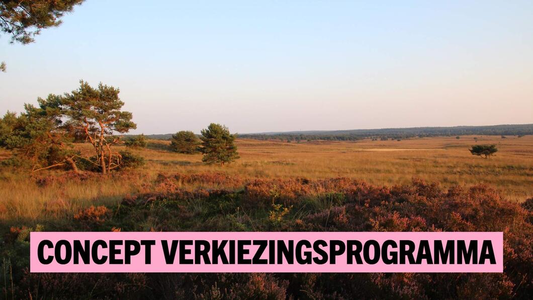 Concept verkiezingsprogramma