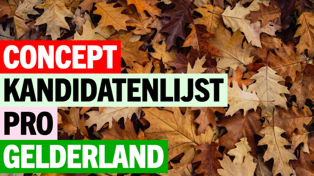Concept kandidatenlijst 