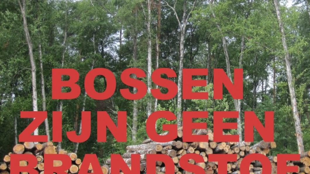 BOSSEN ZIJN GEEN BRANDSTOF