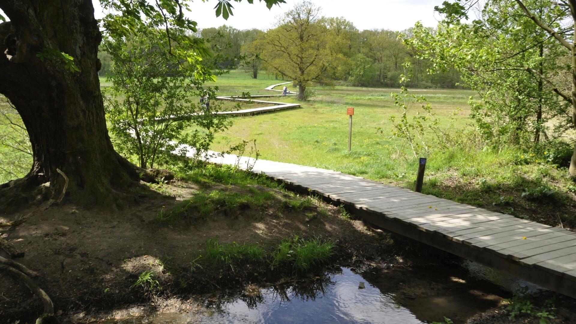 Renkums Beekdal vlonderpad door de natuur