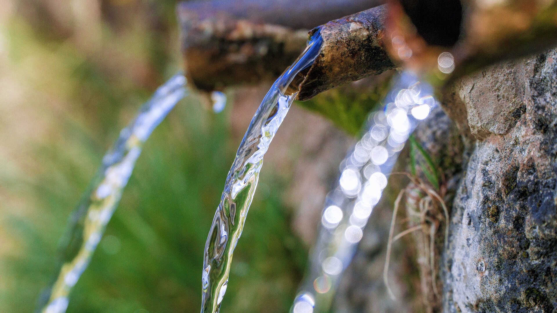 Waterbron in de natuur