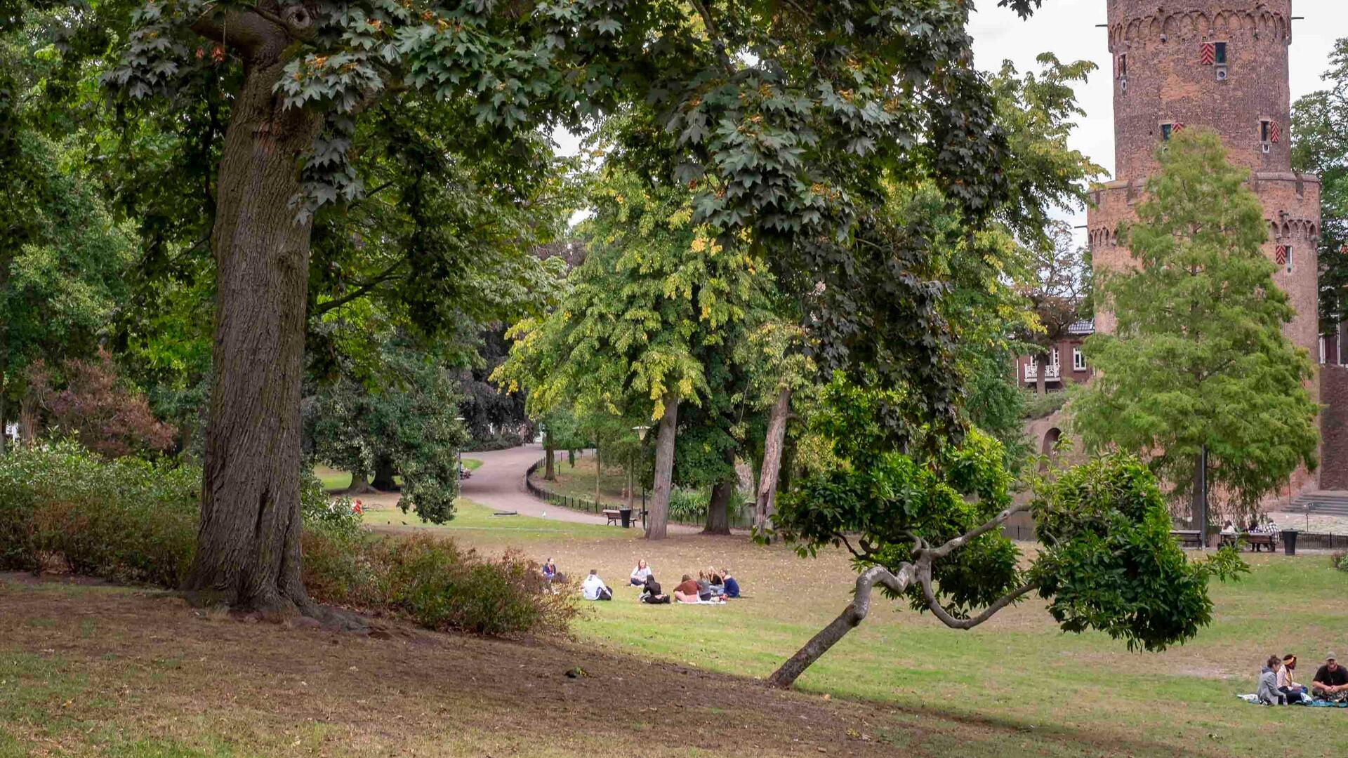 groen in de buurt Nijmegen