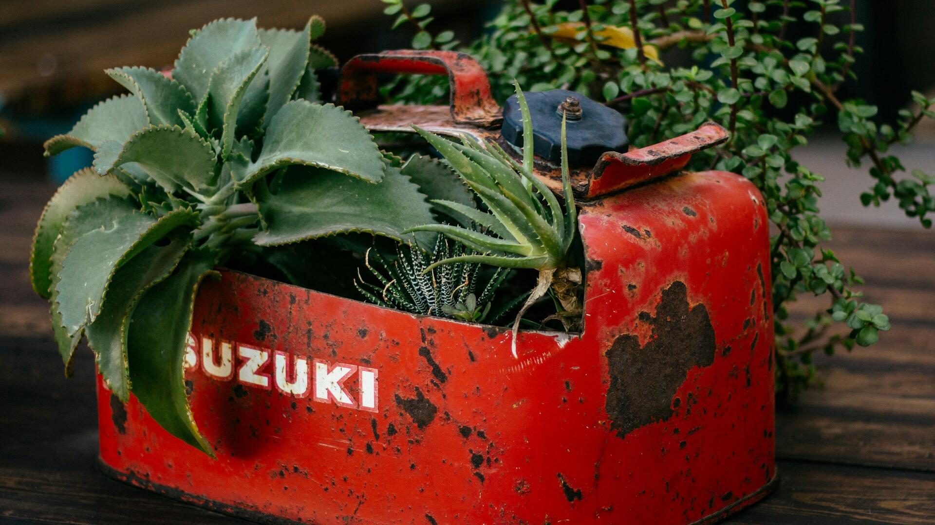plant in benzinetank