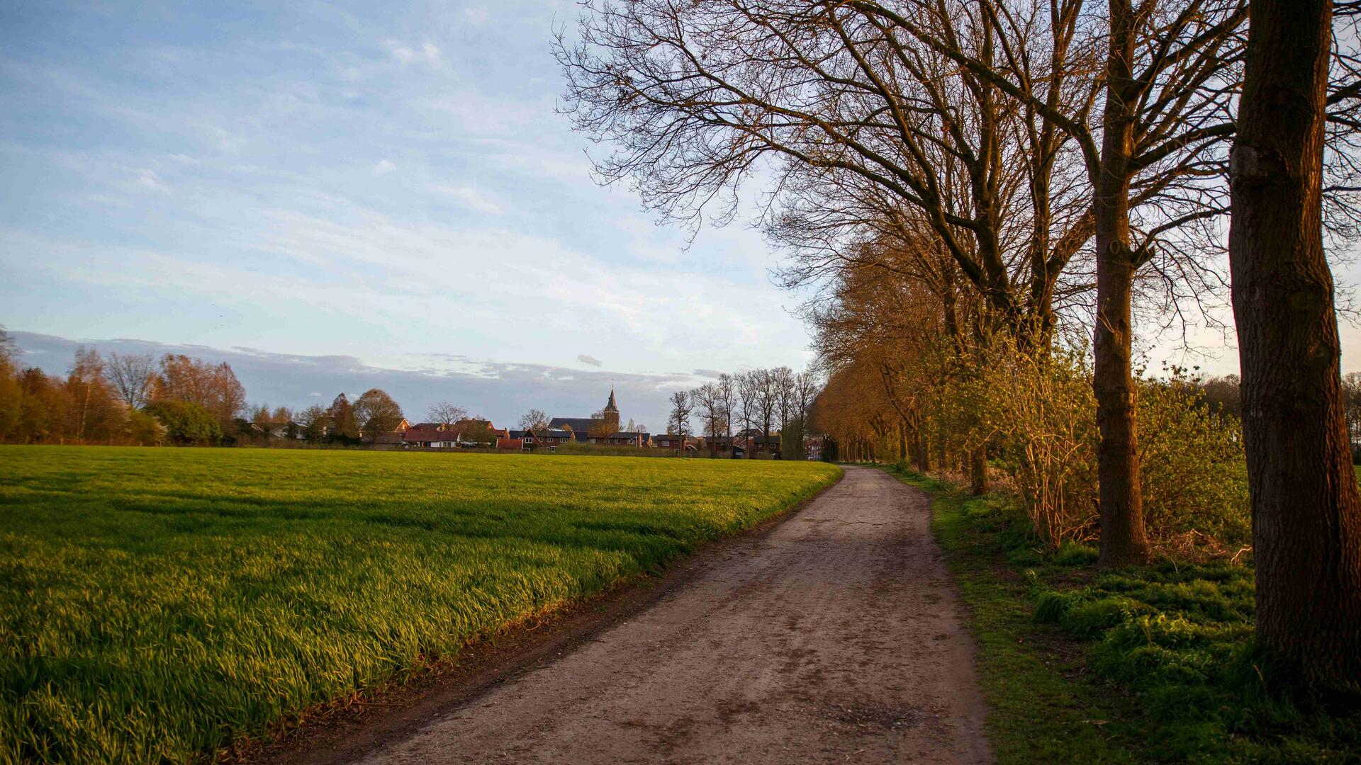 landschap