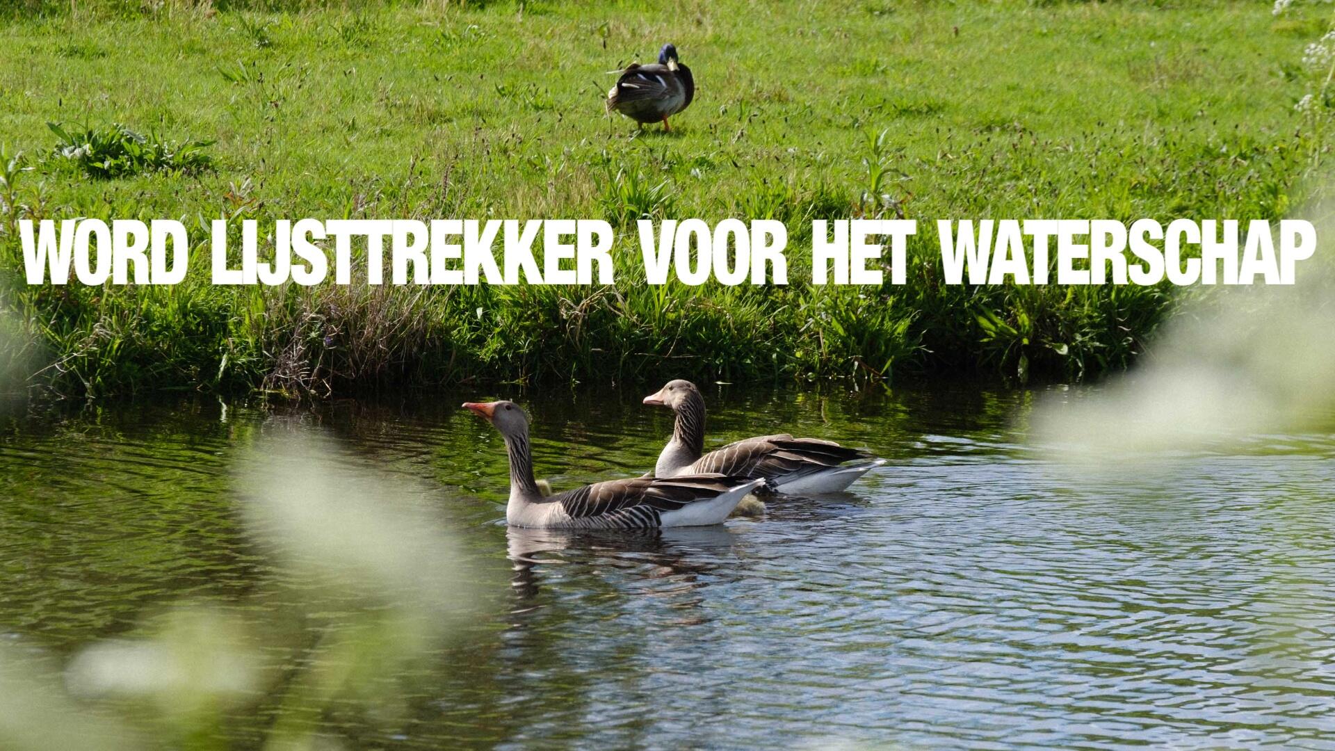 Word lijsttrekker voor het waterschap