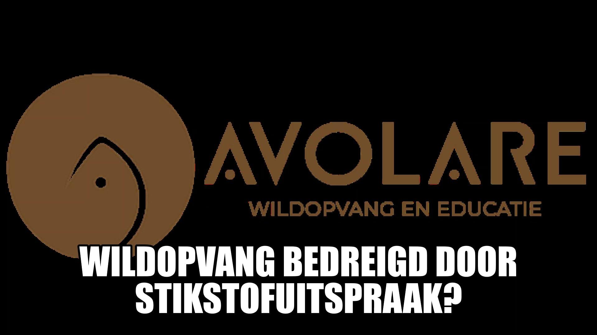 Avolare bedreigd