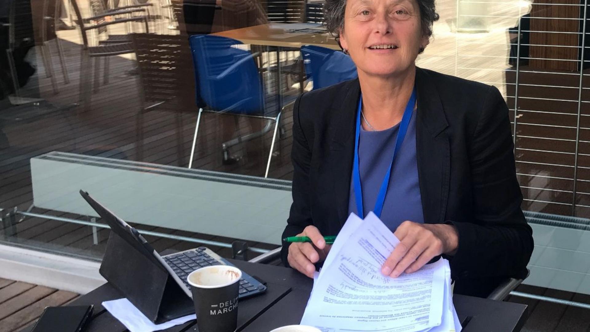 Tineke Strik