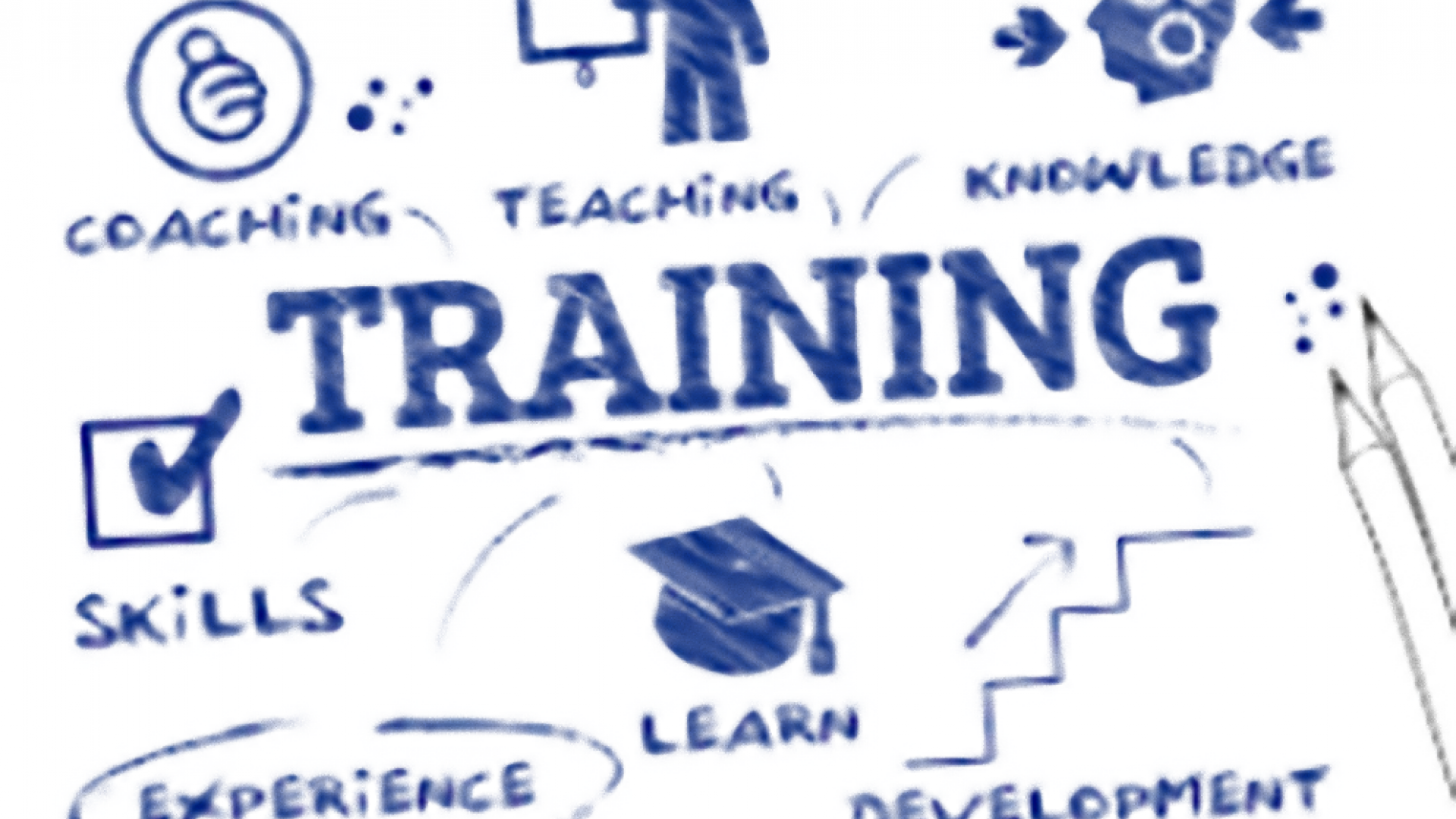 Training